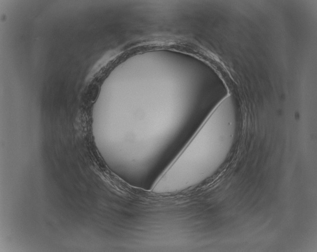 X0000073541448200607310939