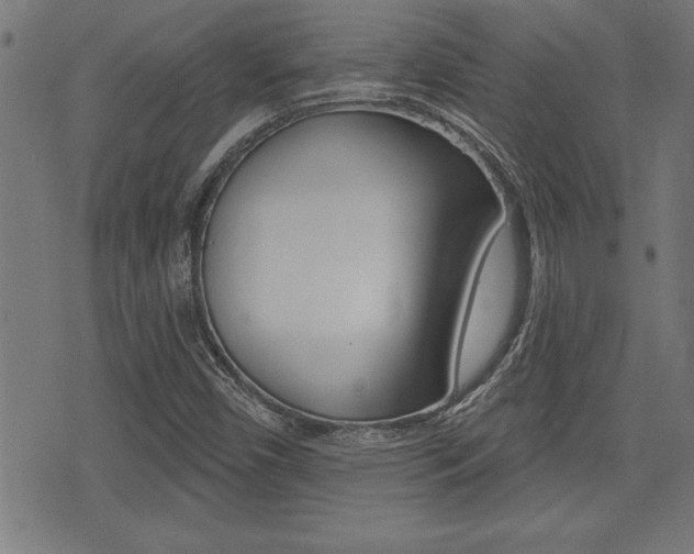 X0000073541450200607310939