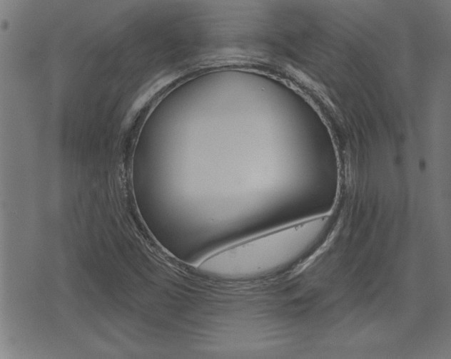 X0000073541453200607310939