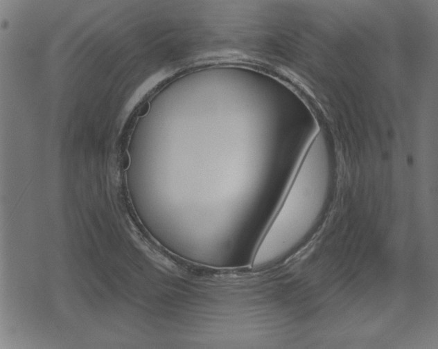 X0000073541458200607310939