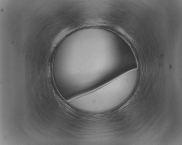 X0000073541459200607310939