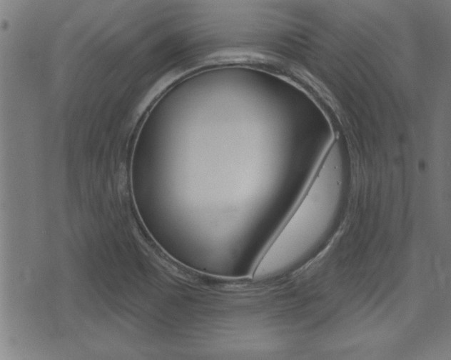 X0000073541465200607310939
