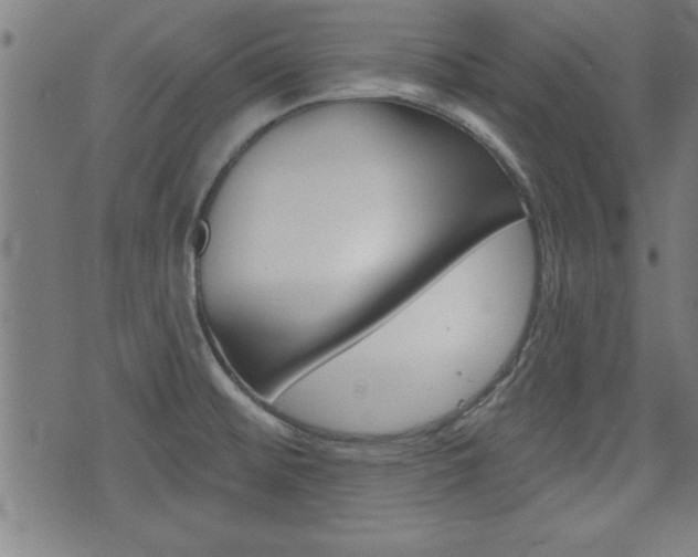 X0000073541476200607310938