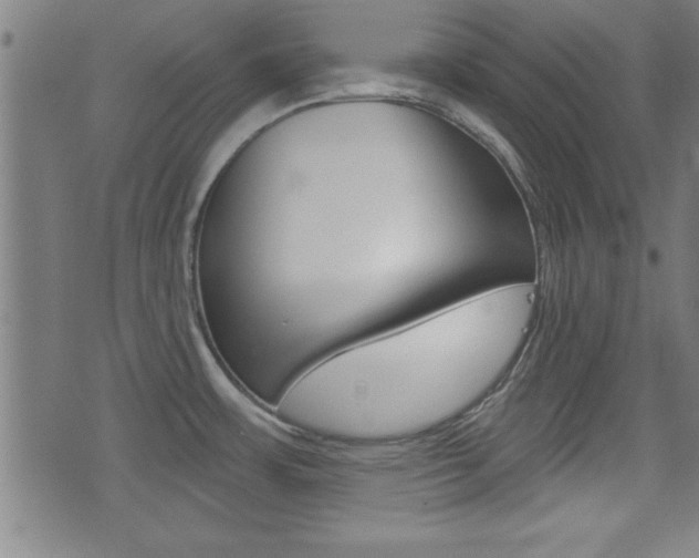 X0000073541483200607310938