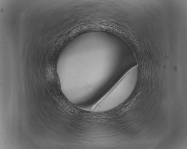 X0000073541490200607310937