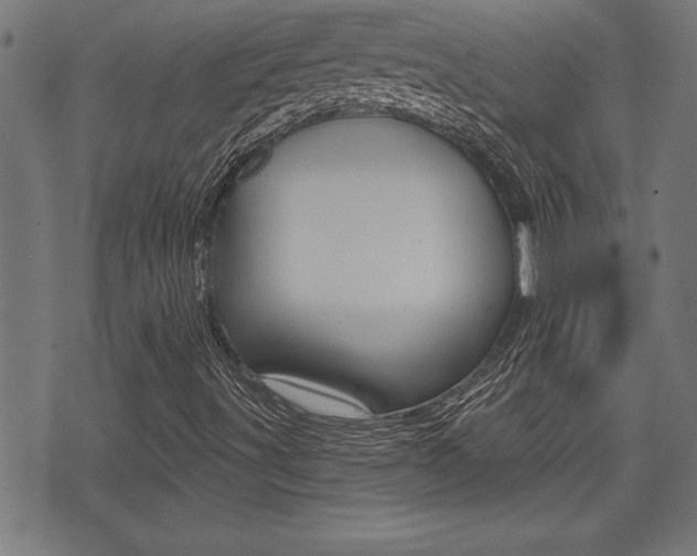 X0000073541491200607310937