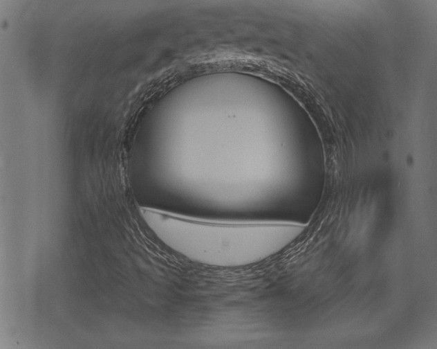 X0000073541493200607310937