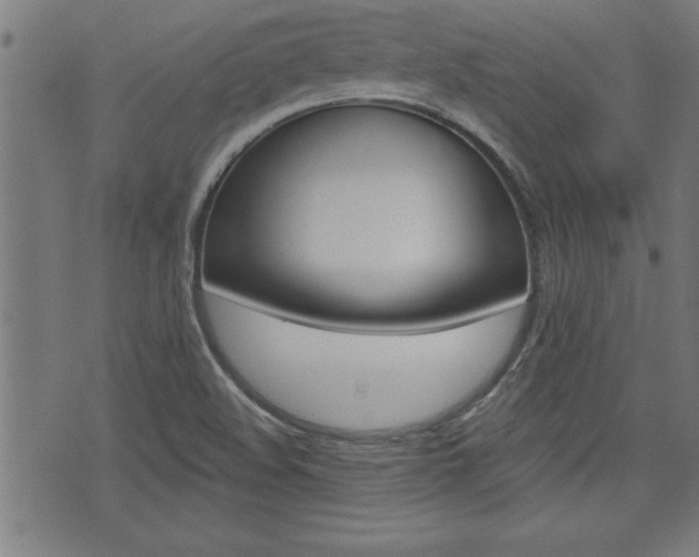 X0000073541508200607310938