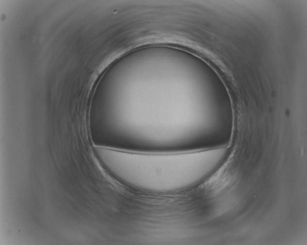 X0000073541513200607310938