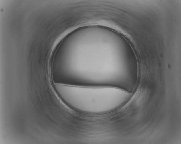 X0000073541517200607310938