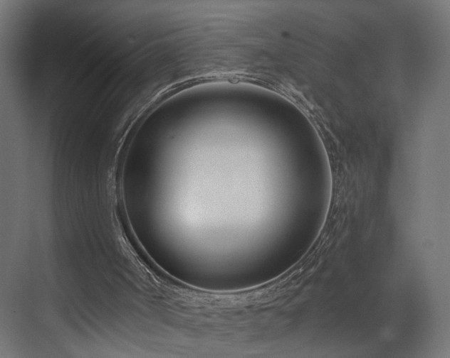 X0000073540002200607311404