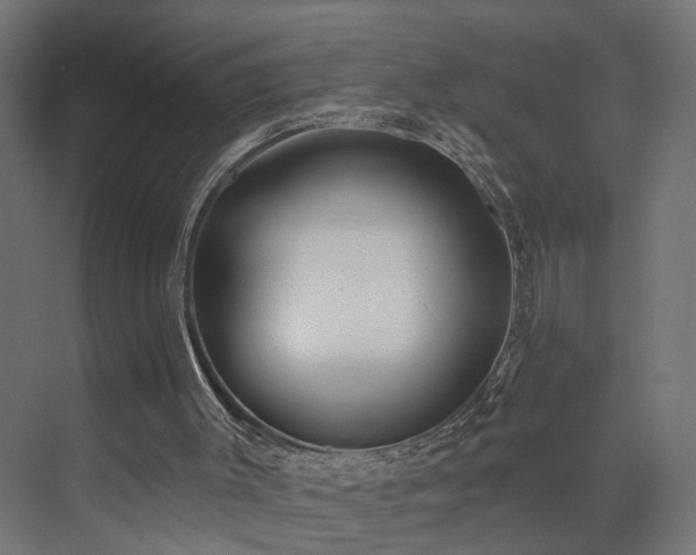 X0000073540003200607311404