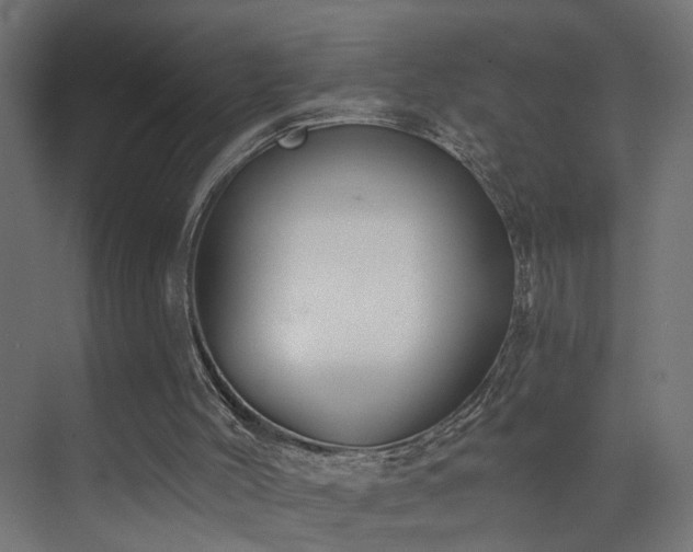 X0000073540004200607311404
