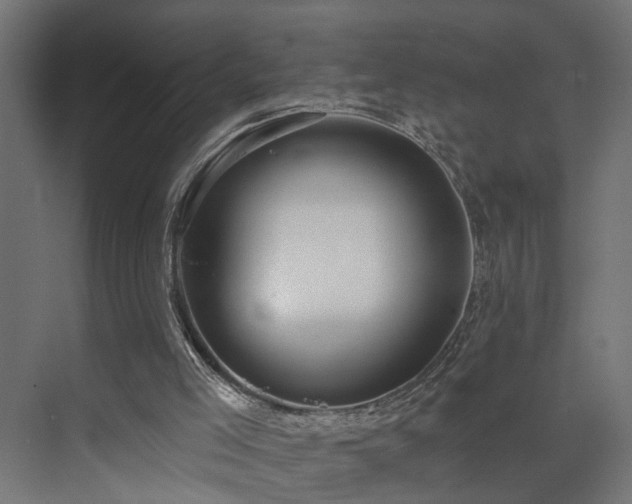 X0000073540005200607311404