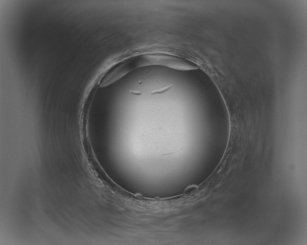 X0000073540006200607311404