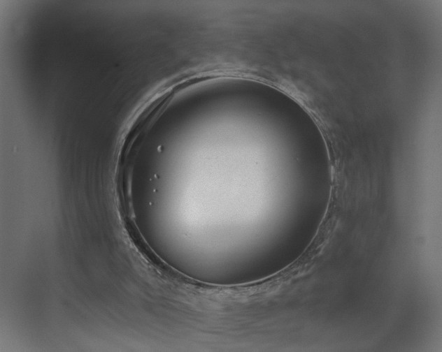 X0000073540007200607311404