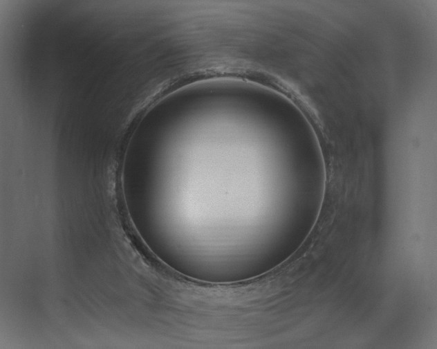X0000073540010200607311404