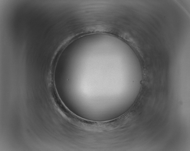 X0000073540012200607311404