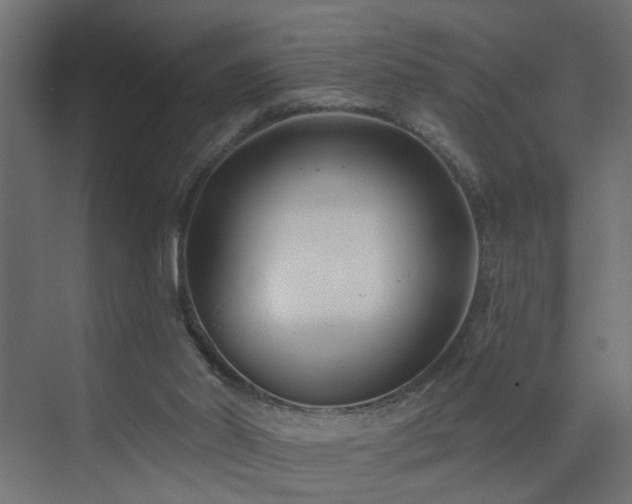 X0000073540014200607311404