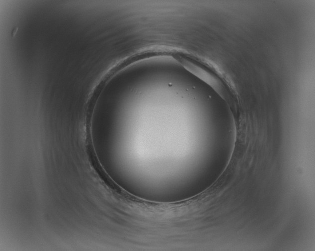 X0000073540015200607311404