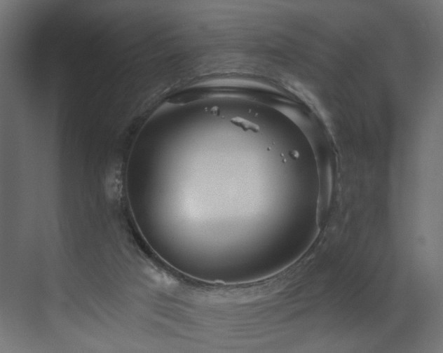 X0000073540017200607311404