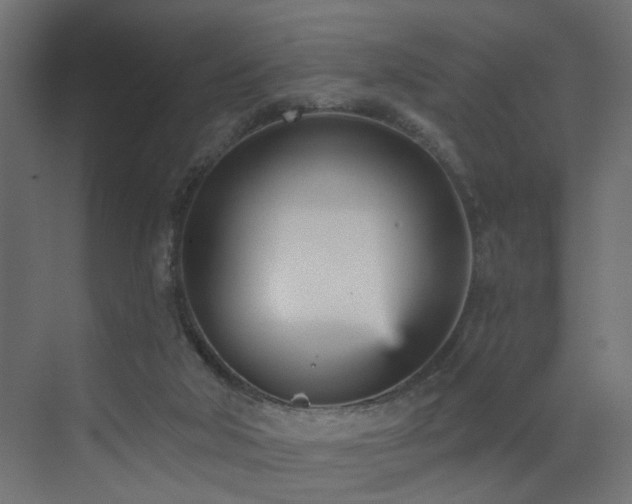 X0000073540018200607311404