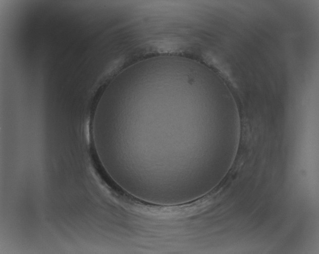X0000073540019200607311404