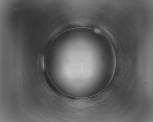 X0000073540020200607311404