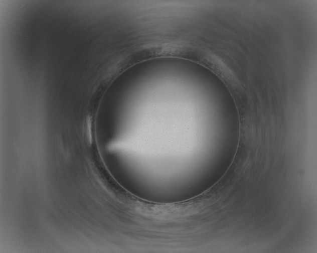 X0000073540022200607311404