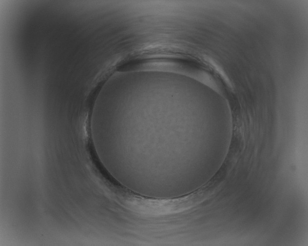 X0000073540023200607311404