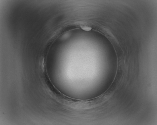 X0000073540024200607311404