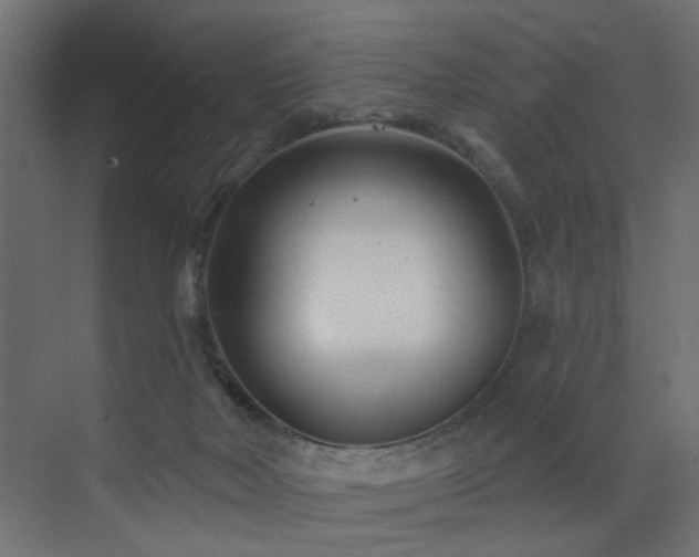 X0000073540026200607311404