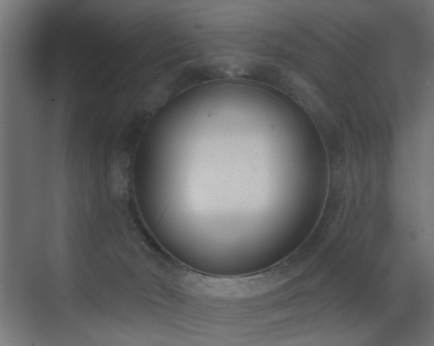 X0000073540030200607311404