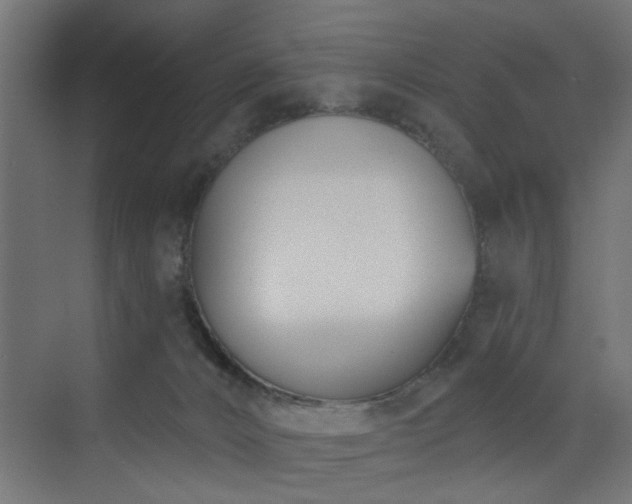 X0000073540032200607311404