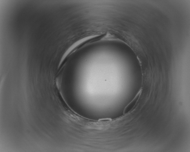 X0000073540033200607311404