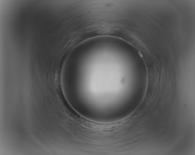 X0000073540035200607311404