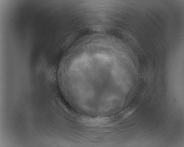X0000073540036200607311404