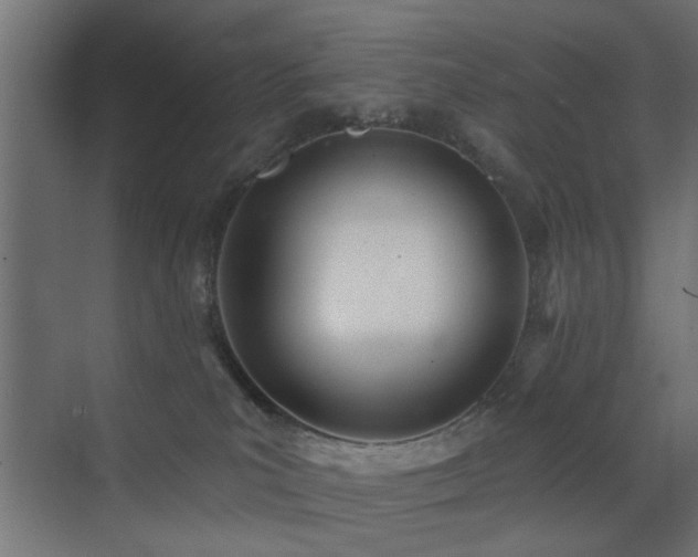 X0000073540039200607311404