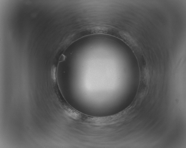 X0000073540041200607311404