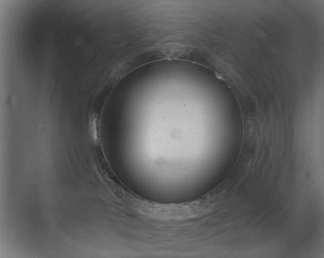 X0000073540042200607311404