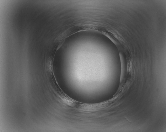 X0000073540045200607311404