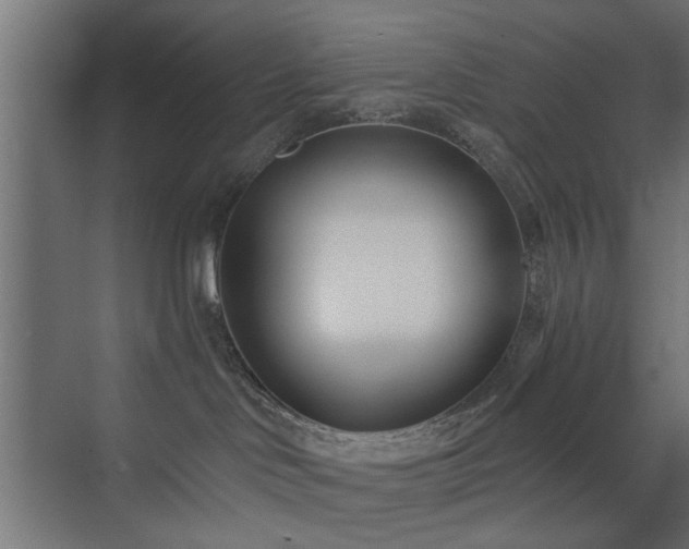 X0000073540046200607311404