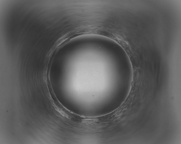 X0000073540051200607311403