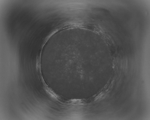 X0000073540052200607311403