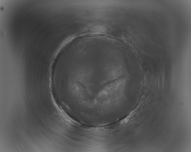 X0000073540054200607311403