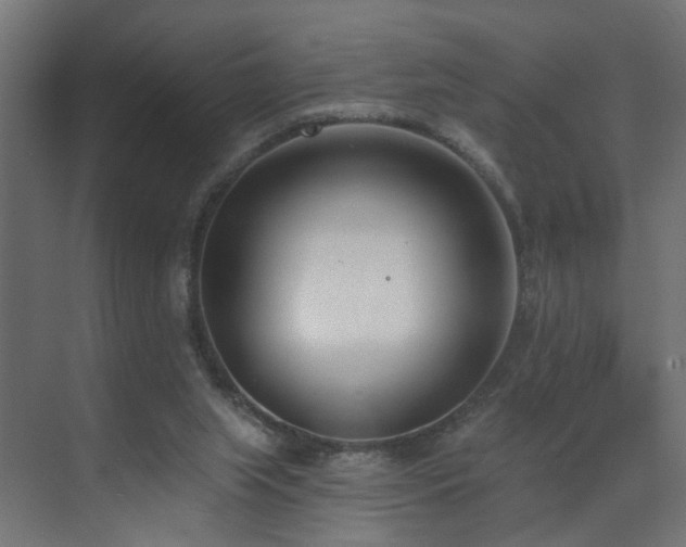 X0000073540063200607311403