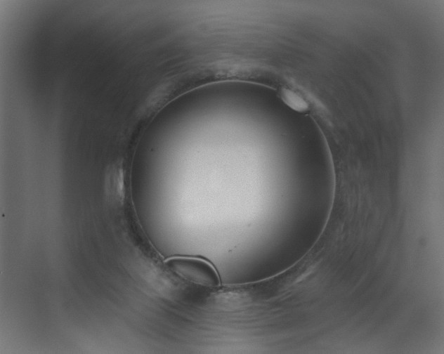 X0000073540067200607311403