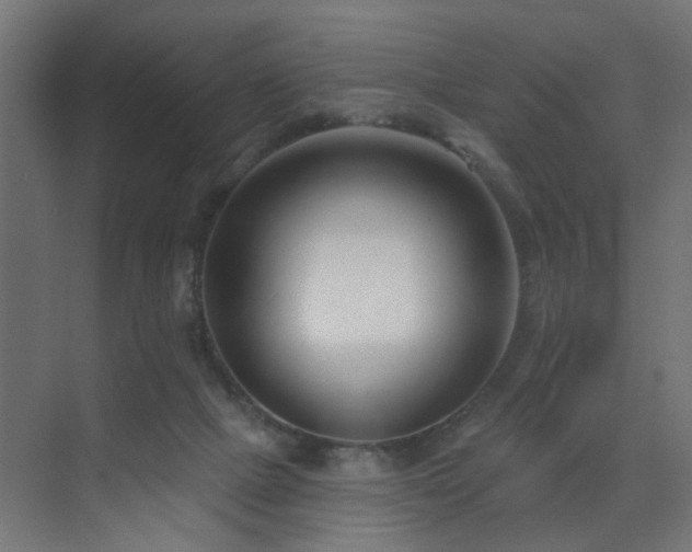 X0000073540073200607311403