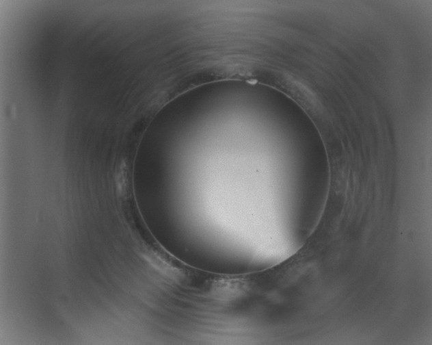 X0000073540077200607311403