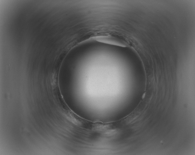 X0000073540081200607311403